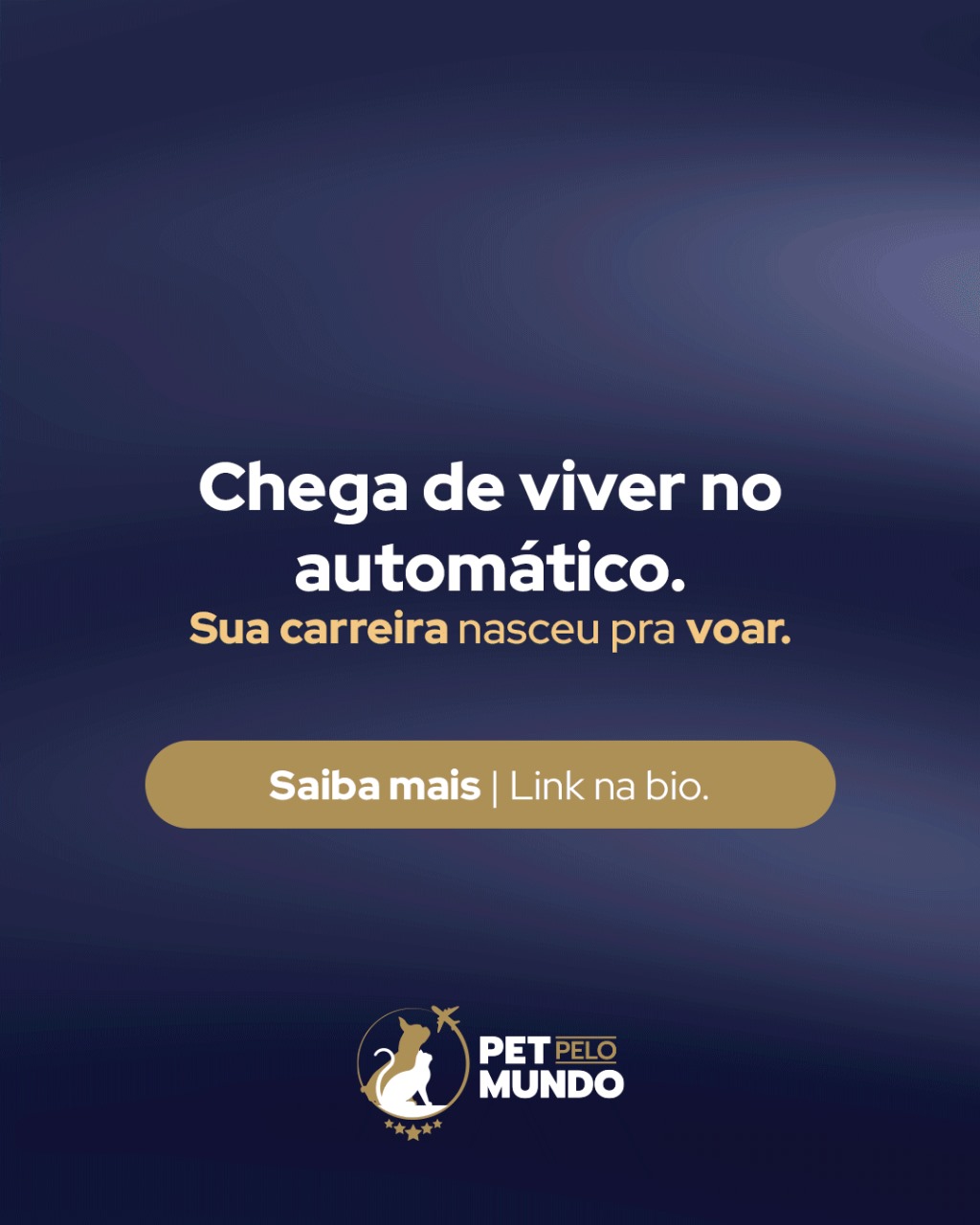 NOVO CURSO EXCLUSIVO – DOMINE O MERCADO INTERNACIONAL PE